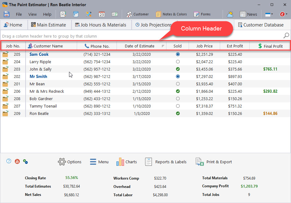 Customer Database grid