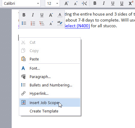 Insert Job Scope menu option